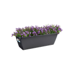 barcelona trough 70cm anthracite